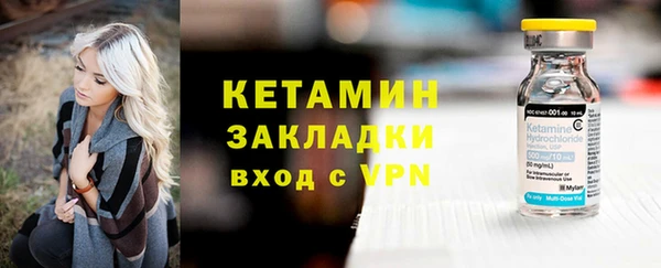 индика Каменногорск