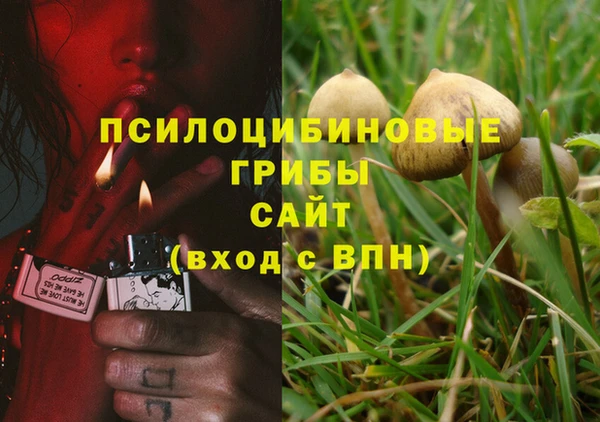 МДПВ Елизово