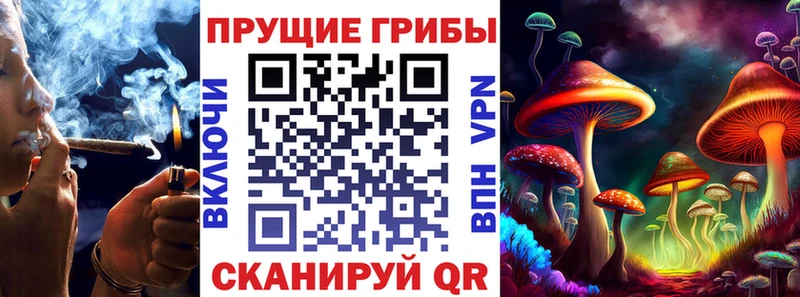 ссылка на мегу площадка какой сайт Псилоцибиновые грибы мицелий Суздаль